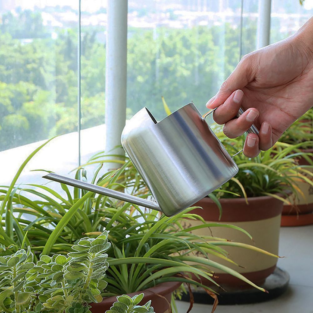 300ml Stainless Steel Watering Kettle with Semi Open Top Indoor Watering Pot