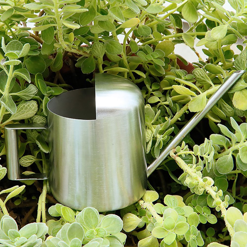 300ml Stainless Steel Watering Kettle with Semi Open Top Indoor Watering Pot