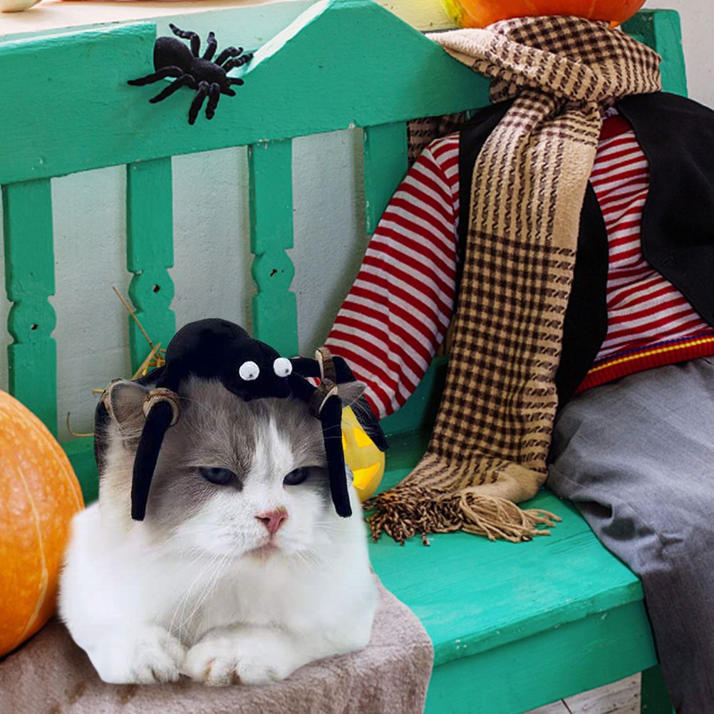 Halloween Spider Cat Toy with Teething Wood Chip Pet Funny Black Spider Legs Cat Toy Halloween Pet Funny Toys