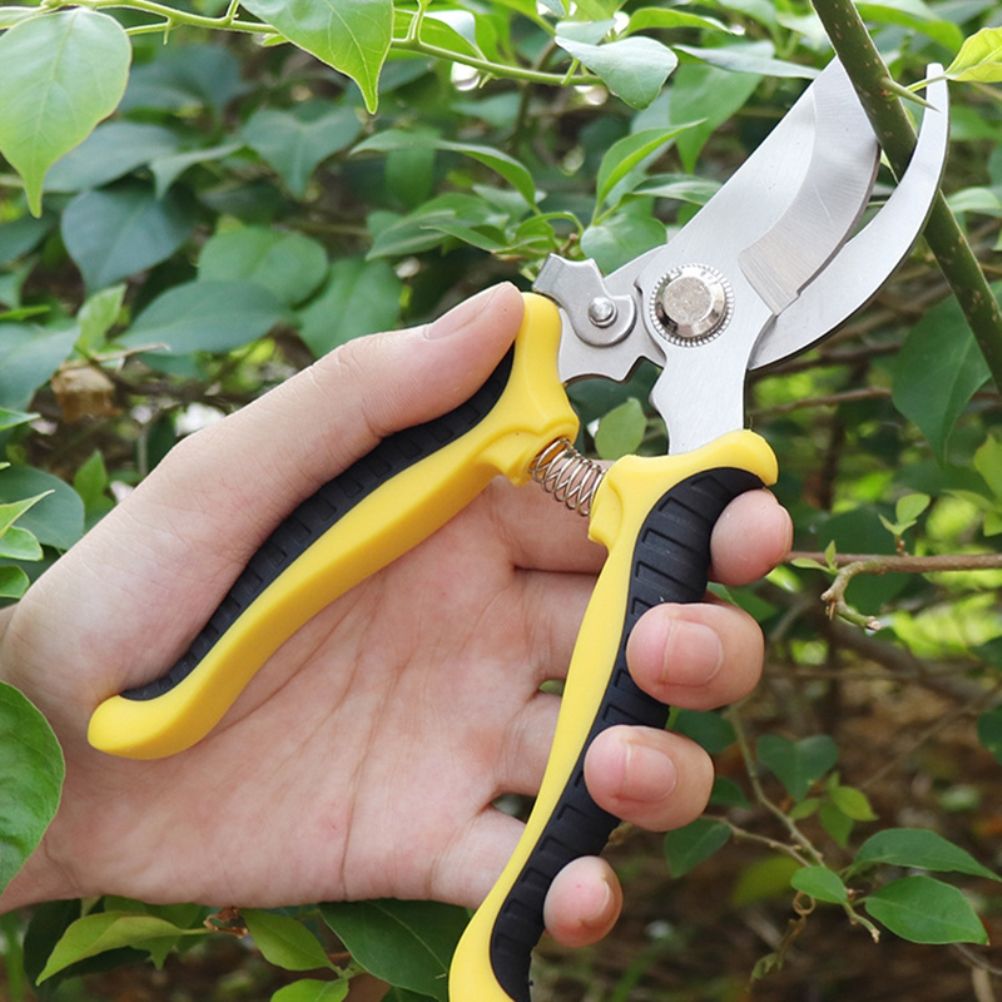 Heavy Duty Rust Proof Tree Trimmers Pruning Shears Secateurs Tools for Garden Care