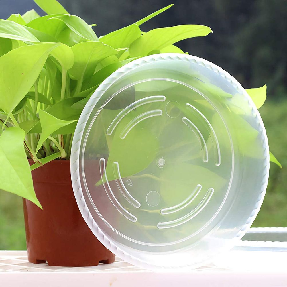 10 pcs Clear Plant Saucers Plastic Flower Pot Drip Trays for Indoors Outdoors