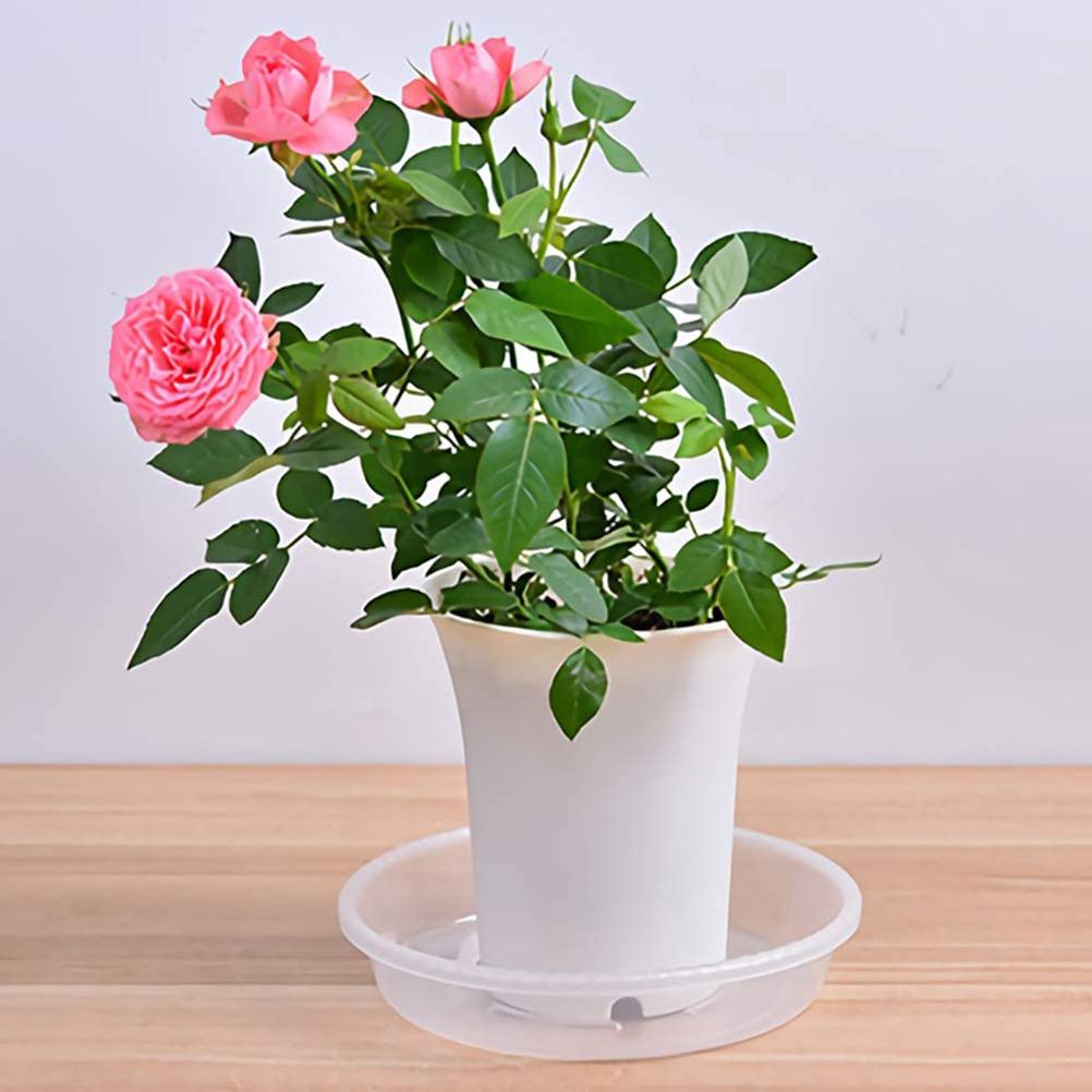 10 pcs Clear Plant Saucers Plastic Flower Pot Drip Trays for Indoors Outdoors