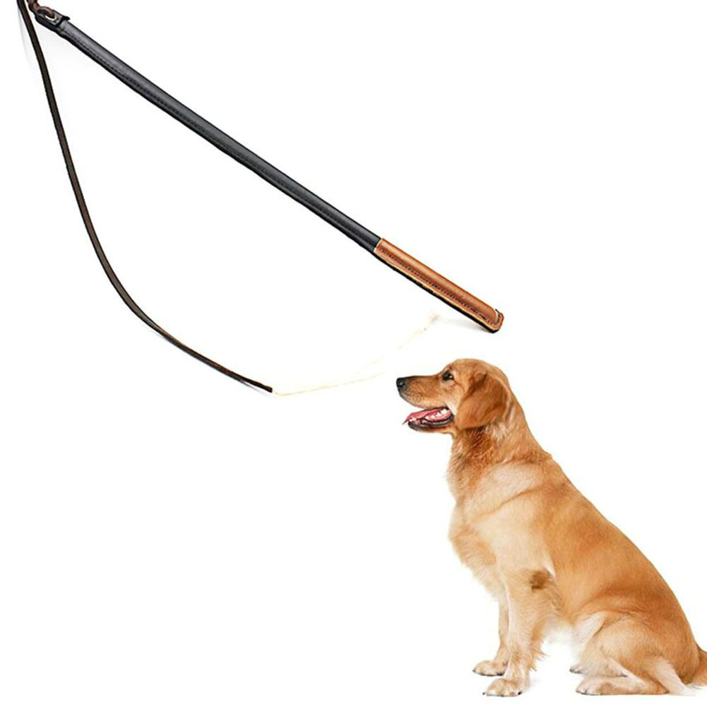 Imitation Leather Dog Training Whip Professional Dog Training Tool with Handle Pet Supplies