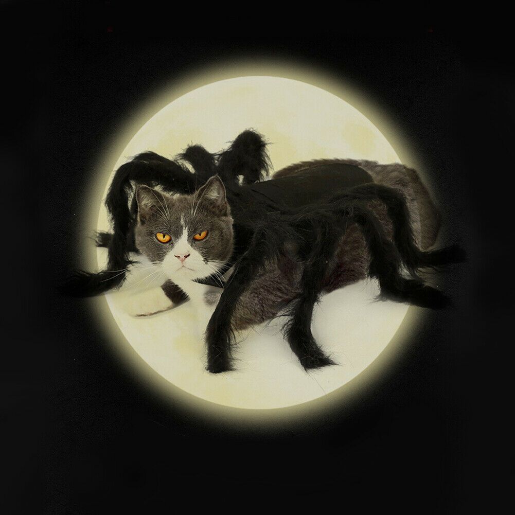 Pet Spider Costume Halloween Pet Spider Clothes Dog Cat Horror Simulation Plush Spiders Dress Up Costume