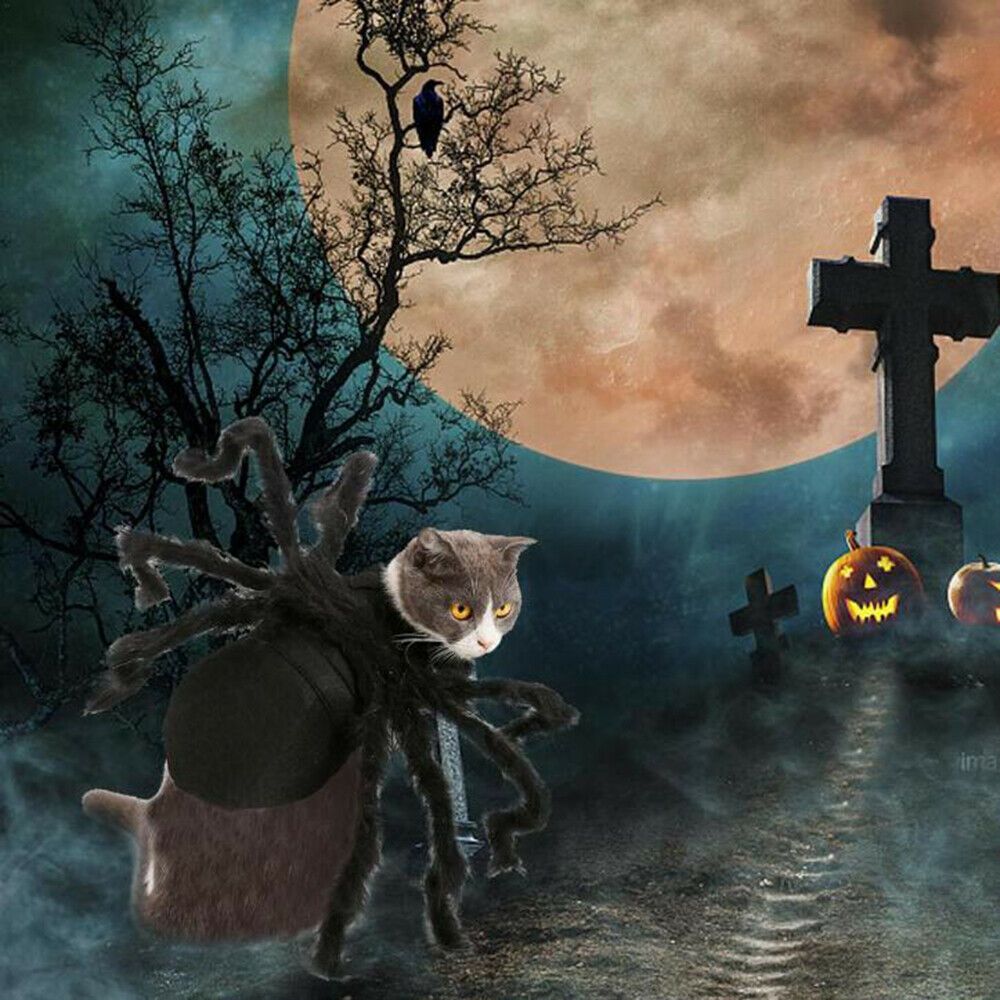 Pet Spider Costume Halloween Pet Spider Clothes Dog Cat Horror Simulation Plush Spiders Dress Up Costume