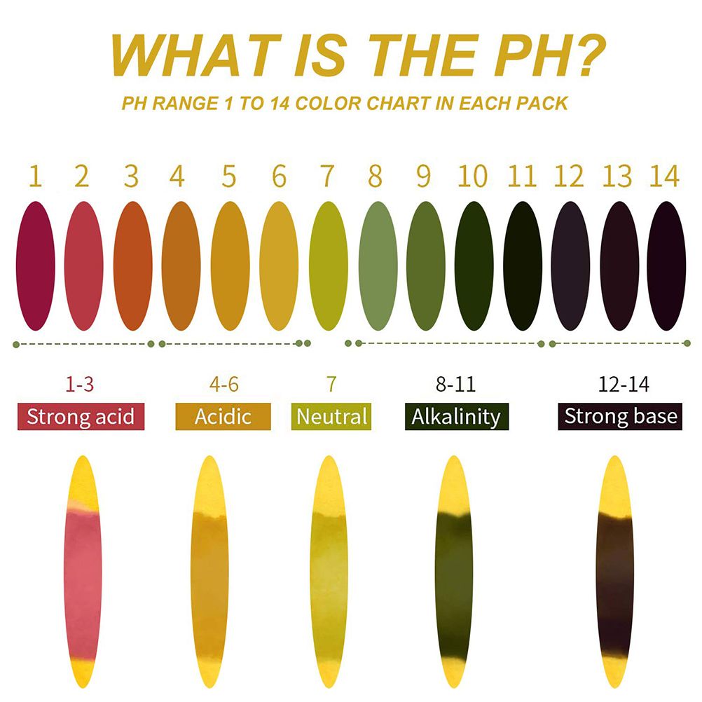 2Packs of 160pcs pH Test Strips ph Paper Plastic Eye Dropper Water Test Paper for Pool Aquarium Soil