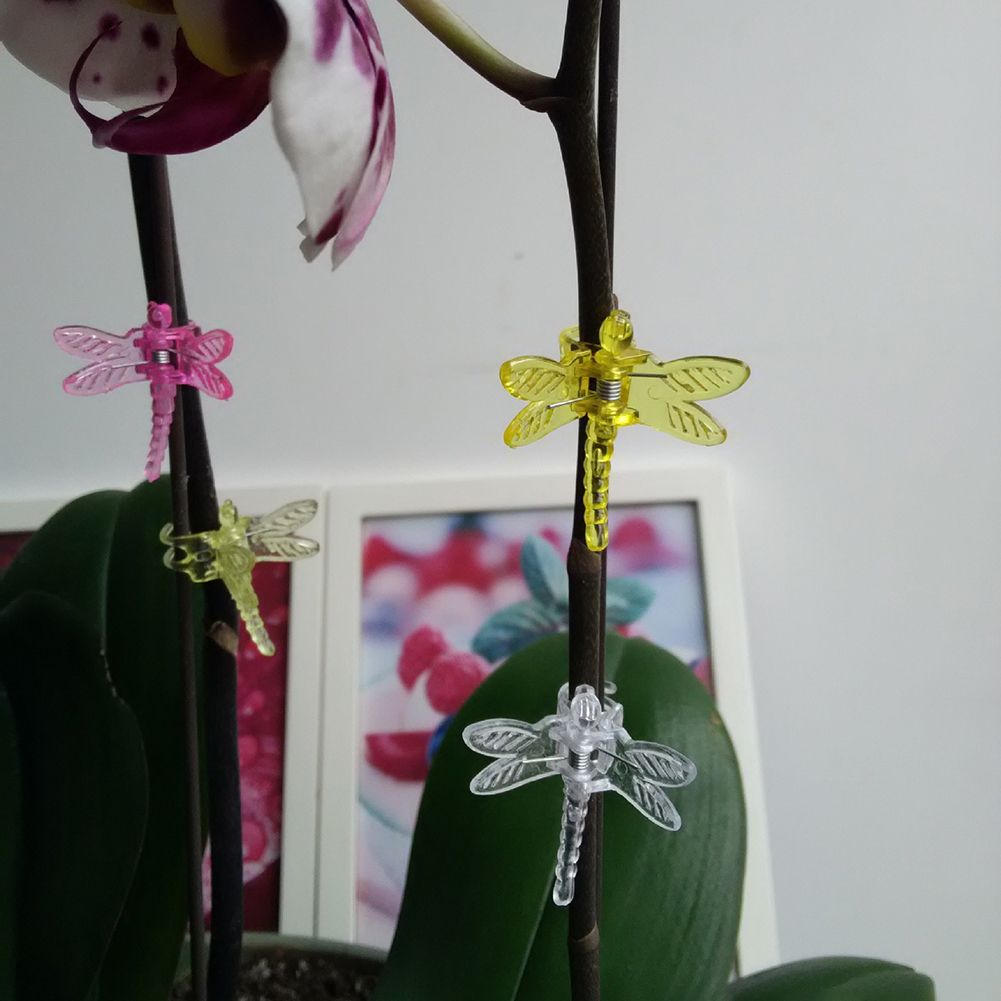30 Pcs Dragonfly Orchid Clips Plastic Garden Plant Support Clips Flower Vine Clips