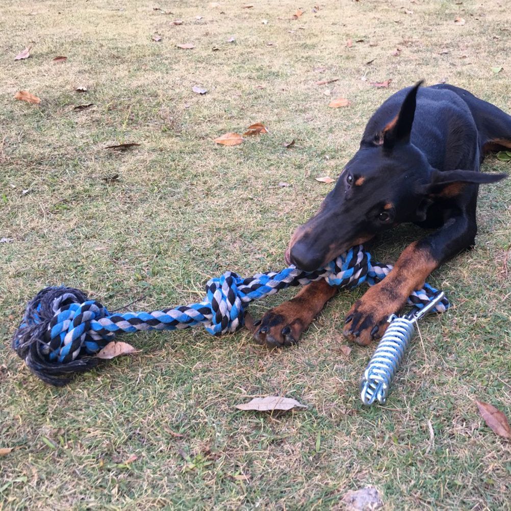 Spring Pole Dog Rope Toy Dog Tug of War Toy Outdoor Pet Exercise Rope