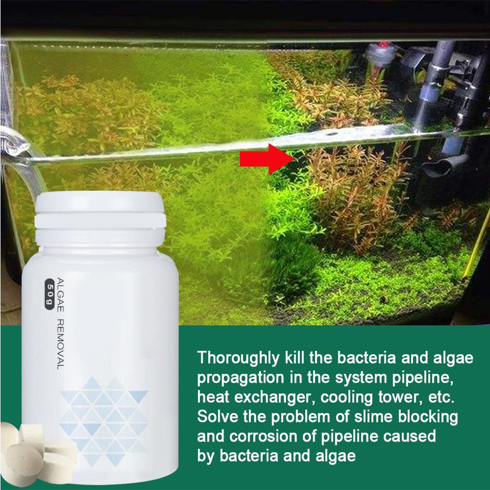 Fish Tank Cleaning Powder Algae Repellent Agent Tank Moss Remover Aquarium Fish Tank Pond Cleaner