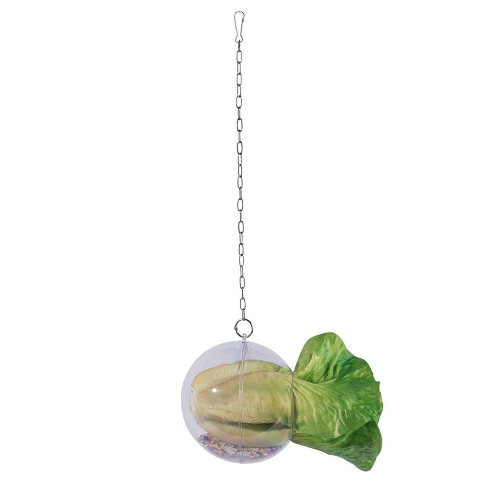 Hanging Foraging Ball Chicken Foraging Toy Plastic Pet Feeding Ball for Bird Hens