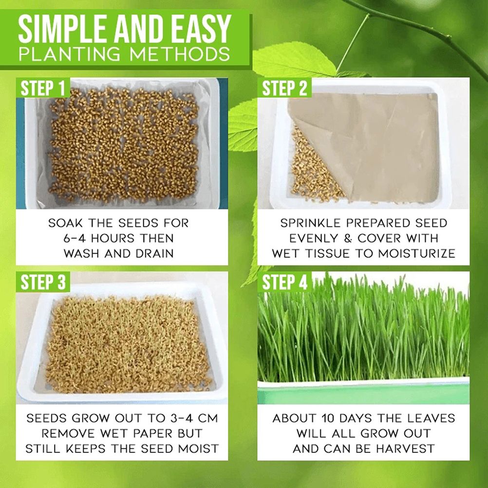 Double Layer Seedling Tray Hydroponic Nursery Tray Garden Seedling Pots