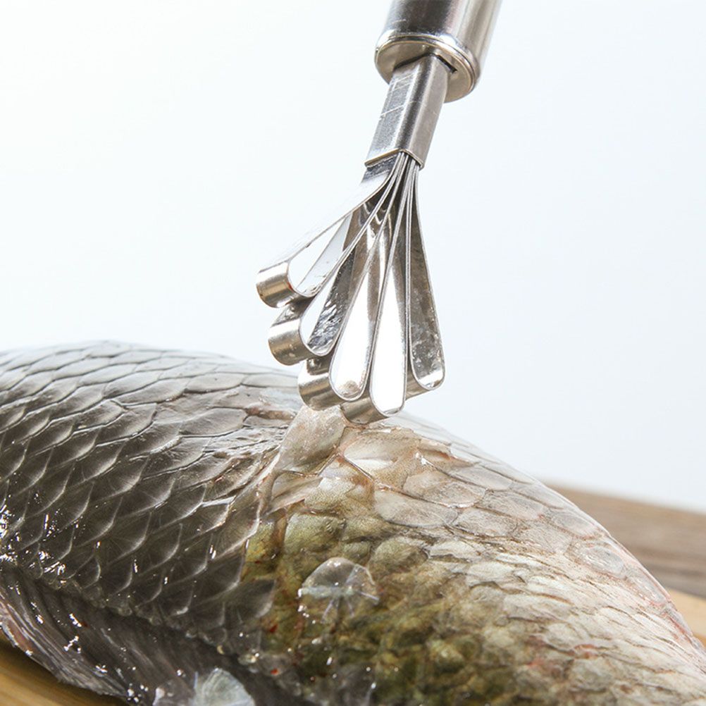 Portable Stainless Steel Coconut Meat Fish Scale Removal Tool Grater Slicing Tool Kitchen Gadgets