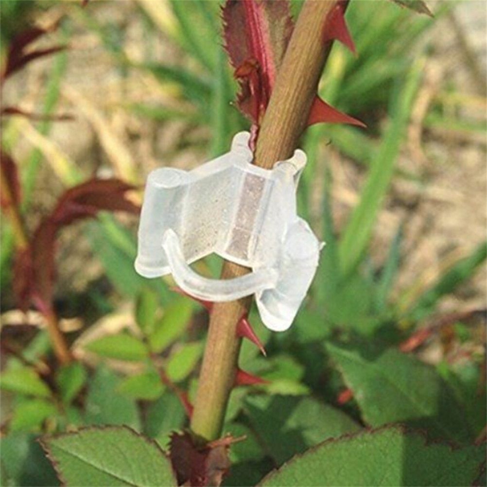 100Pcs/Set Plants Grafting Clips Garden Vine Grafting Clip Gardening Tools