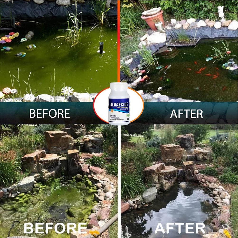 50g Aquarium Algaecide Fish Tank Algae Remover Aquarium Water Cleaner