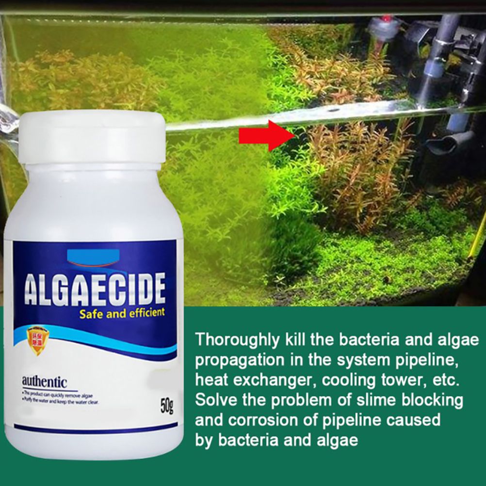 Freshwater Aquarium Algaecin Water Clarifier Eco Friendly Fish Tank Cleaner