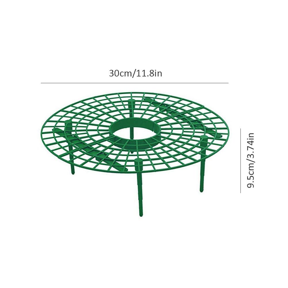 Strawberry Growing Support Practical Strawberry Rack Plant Climbing Vine Stand
