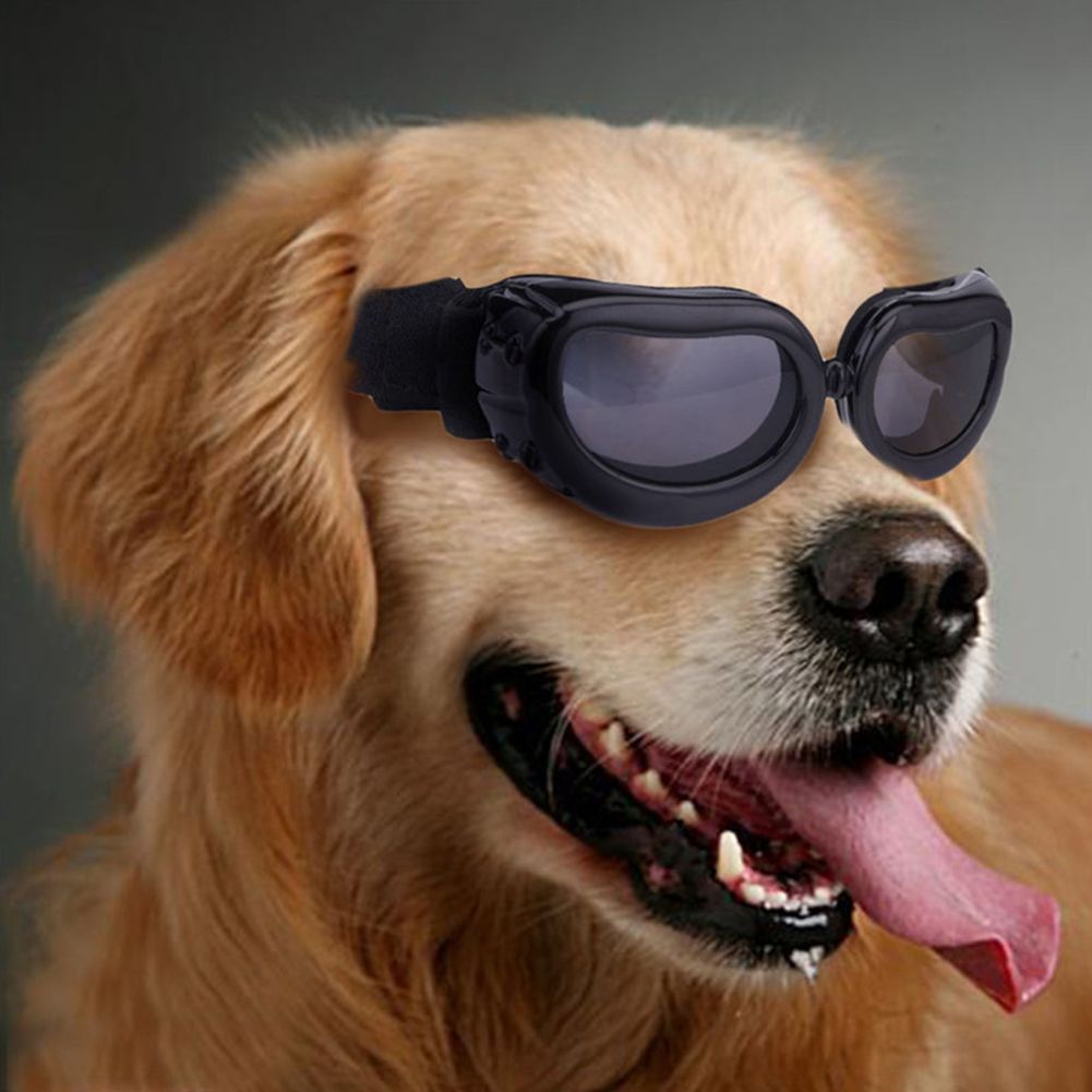 Dog Goggles Small Dog Sunglasses Waterproof Windproof UV Protection Dog Goggles for Doggy Puppy