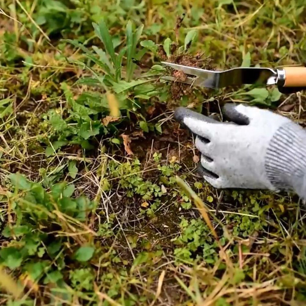 Hand Weeding Fork Manual Weed Extractor Stainless Steel Grass Remover with Long Prongs and Ergonomic Handle