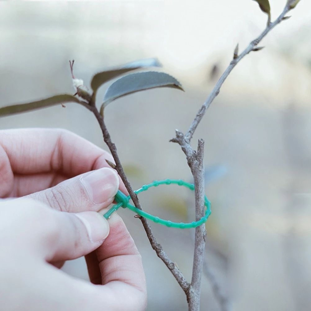 100PCS Tree Ties Adjustable Plant Ties Garden Ties Flexible Plant Cable Ties for Supporting Rose Shrub Plants