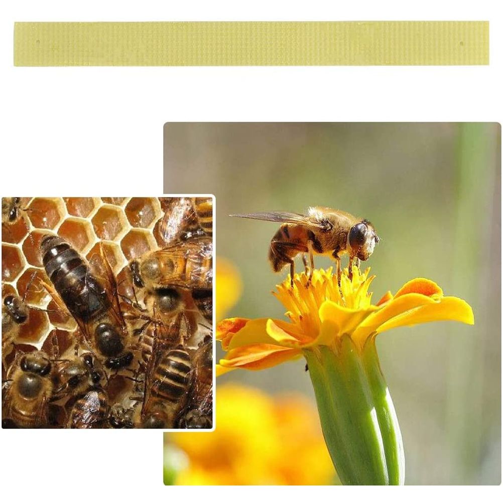 40Pcs Manhao Fluvalinate Stripes Mite Varroa Beekeeping Medicine