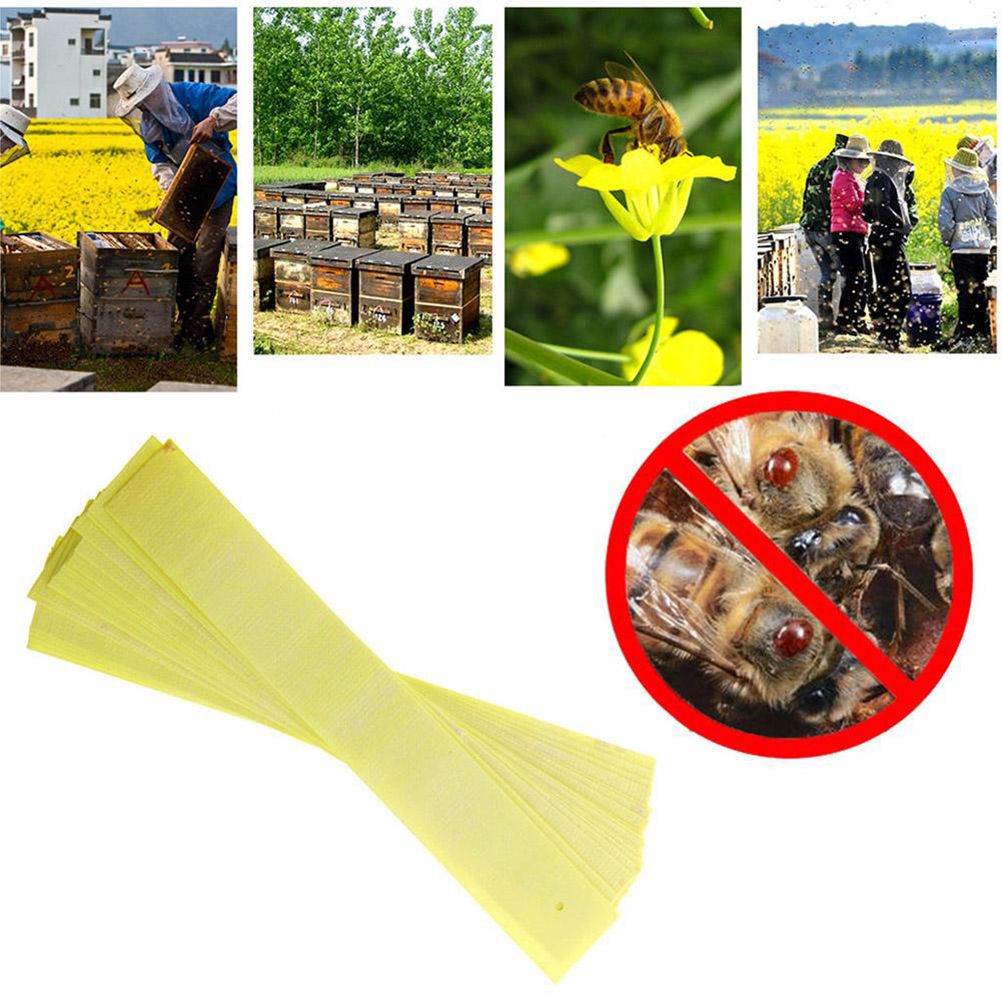 40Pcs Manhao Fluvalinate Stripes Mite Varroa Beekeeping Medicine