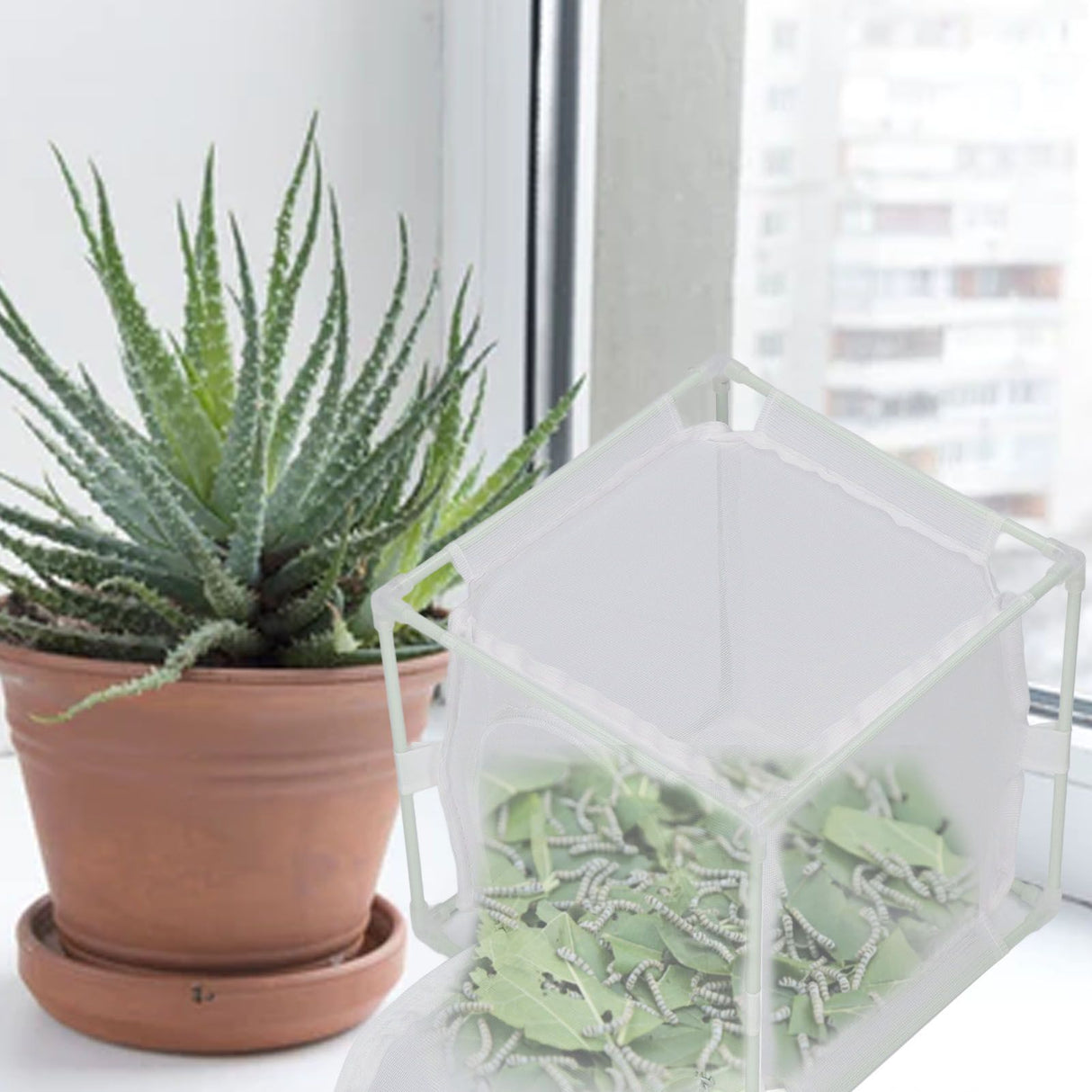 Insect Observation Cage PVC Mesh White Reusable Butterfly Habitat Breeding Incubator Box Reversed U Shaped