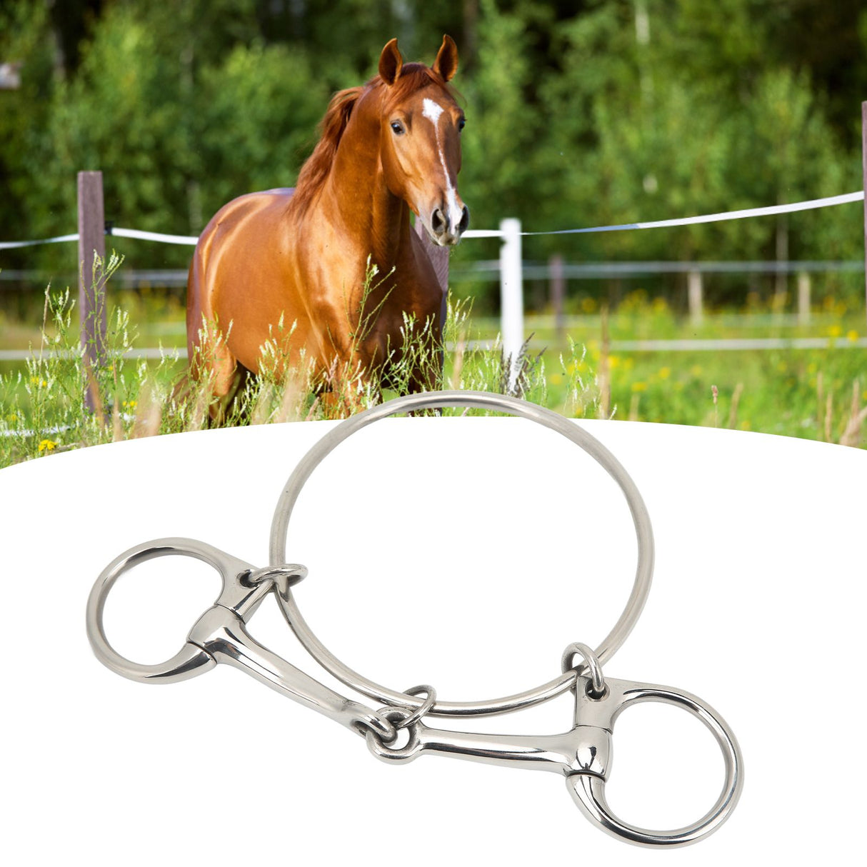 125mm Stainless Steel Horse Mouth Bit 5 Inch Horse Bits Outdoor Training Loose Ring