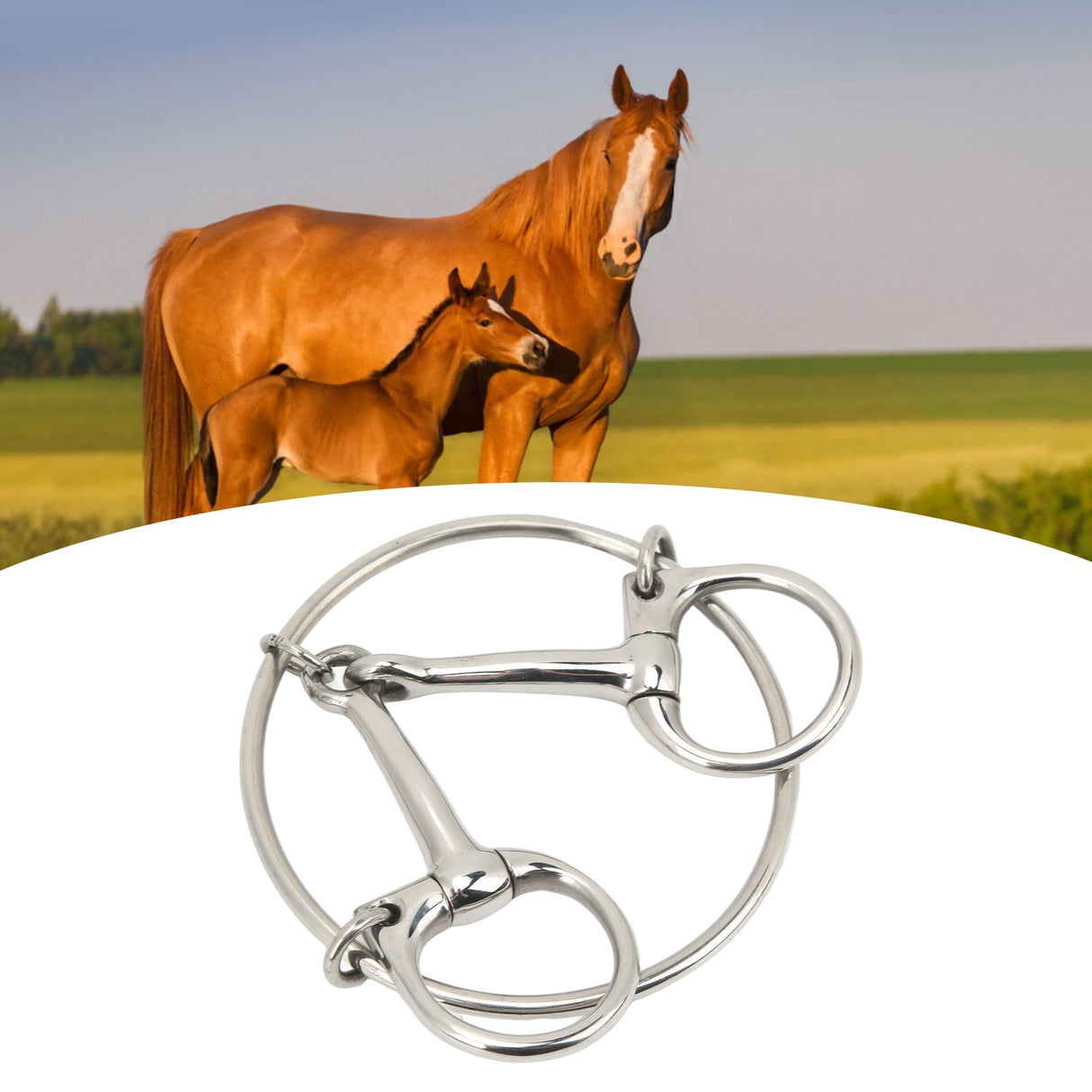125mm Stainless Steel Horse Mouth Bit 5 Inch Horse Bits Outdoor Training Loose Ring