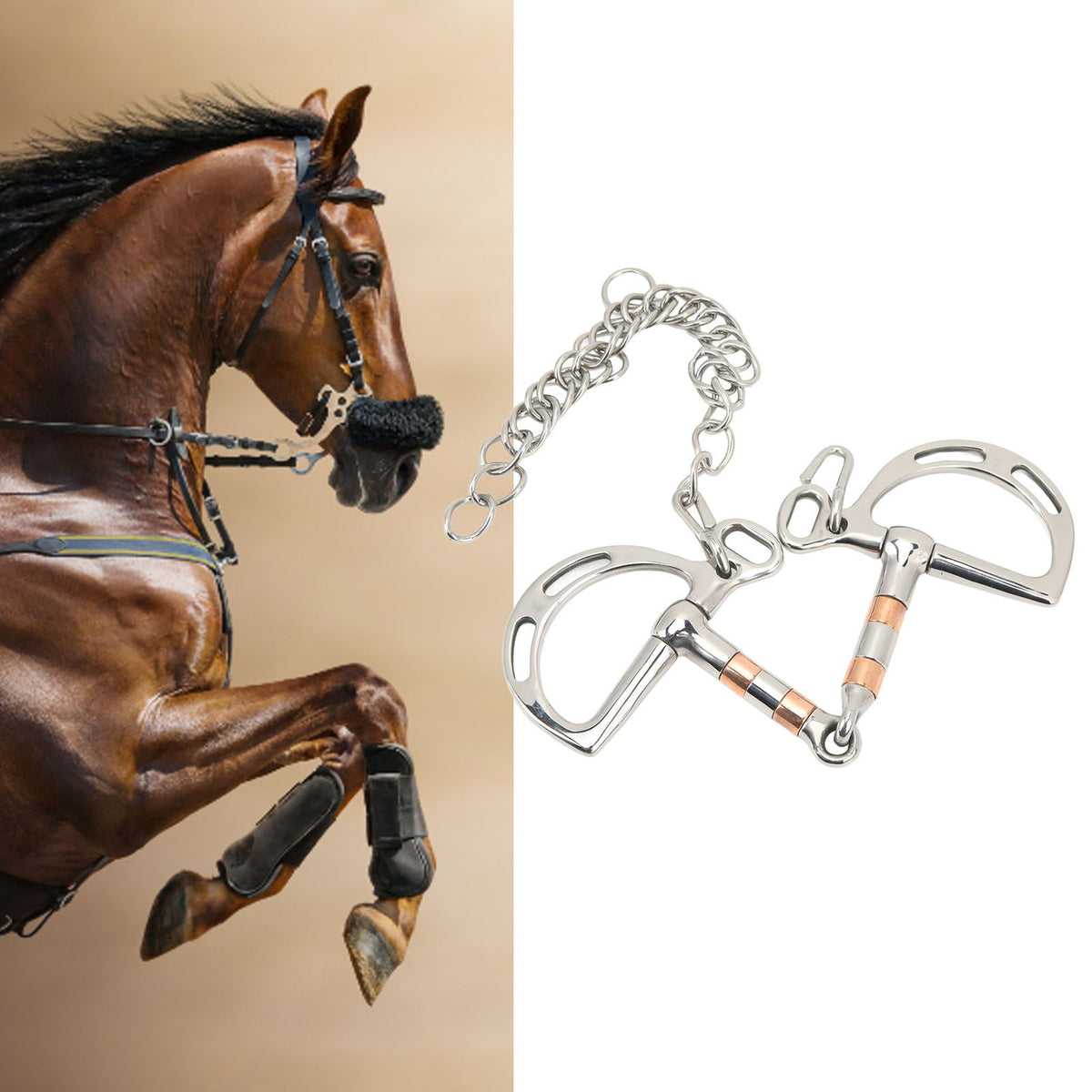 Horse Bit Stainless Steel Copper D Ring Snaffle Bit with Chain for 125mm Horse Mouth
