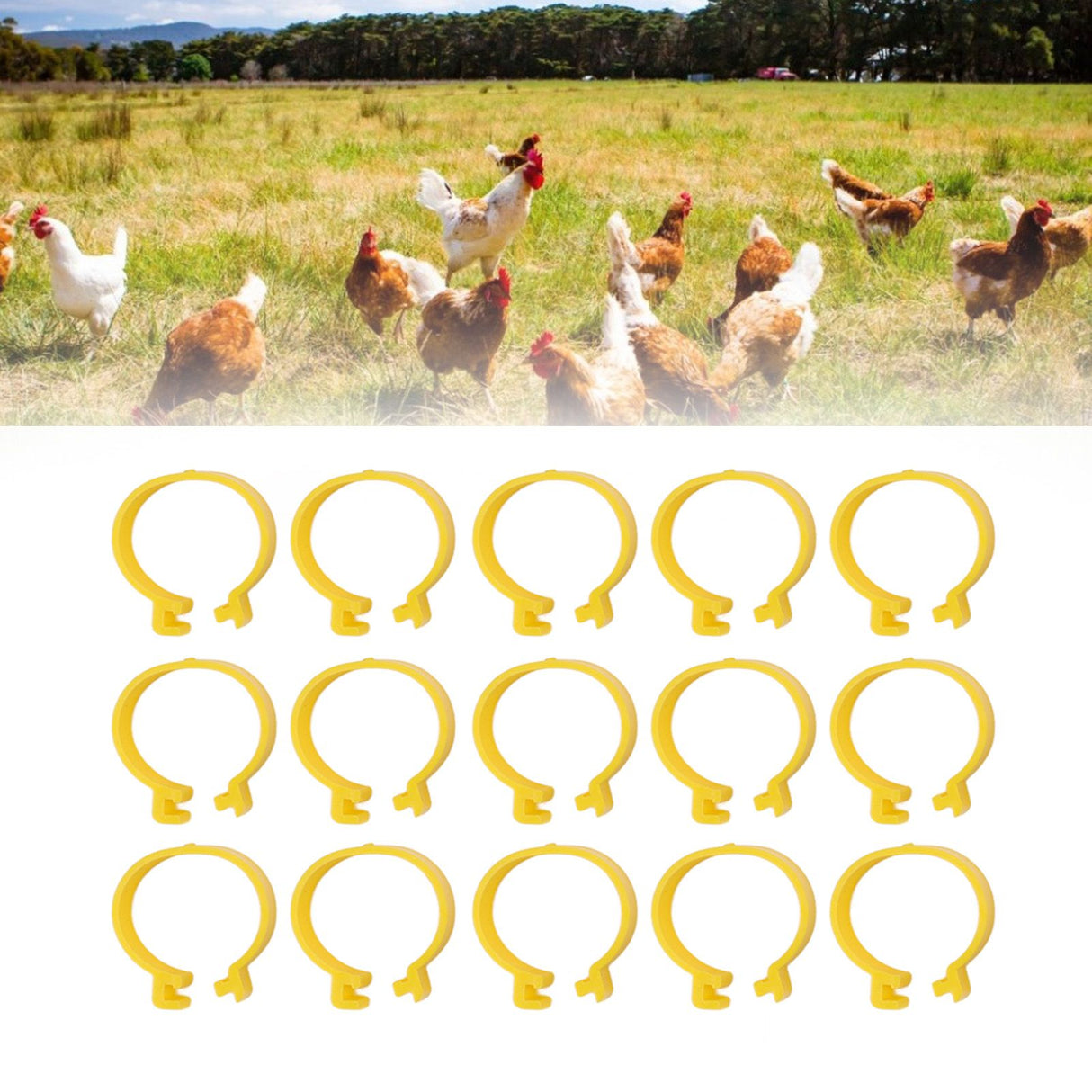 100PCS Chicken Ankle Rings Reusable Plastic Duck Leg Bands Clips For Breeding Chickens Ducks Geese Yellow 16mm/0.63in