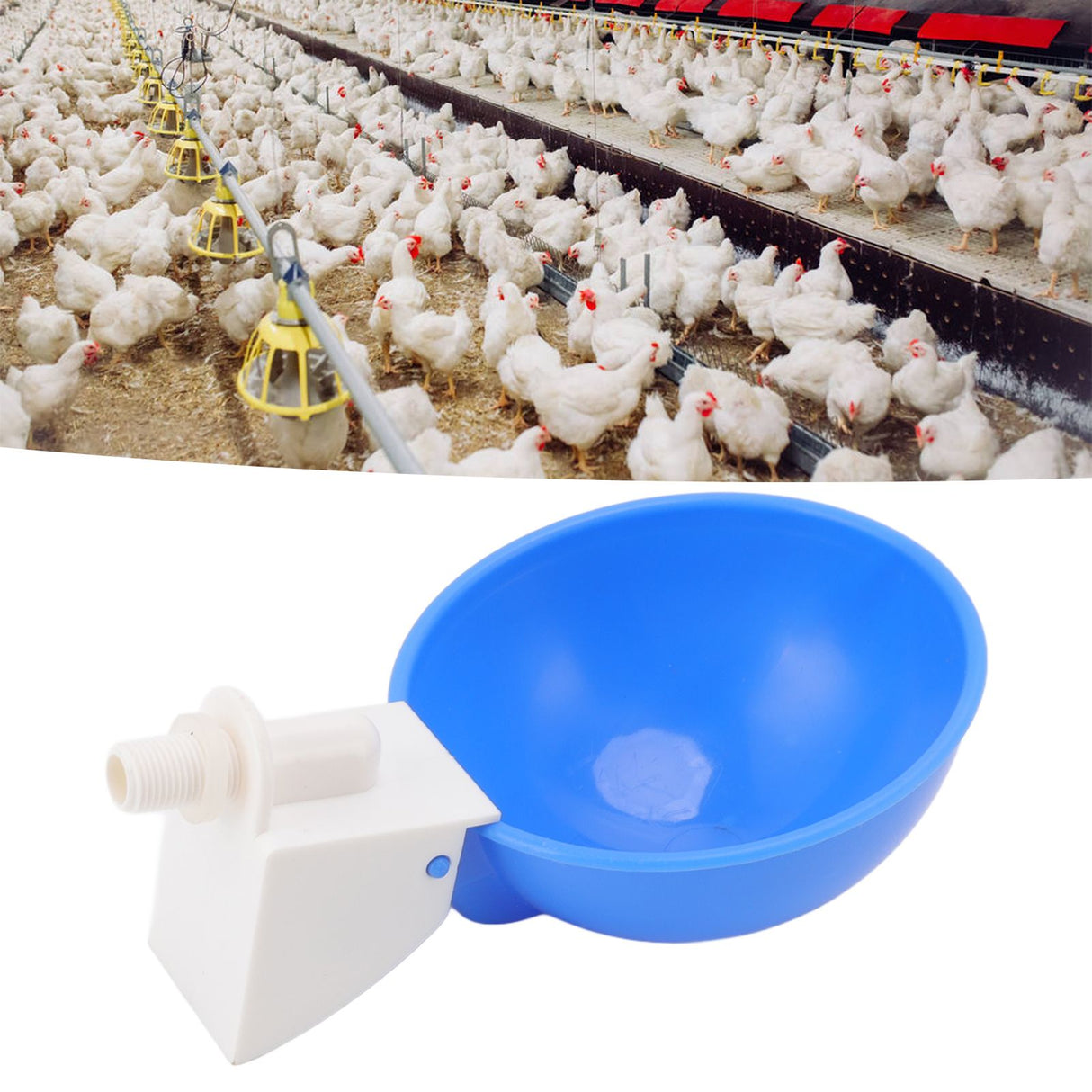10PCS G1/8 Male Thread Chicken Waterer Cup Thicken Automatic Poultry Water Feeding Equipment for Quails Birds Blue