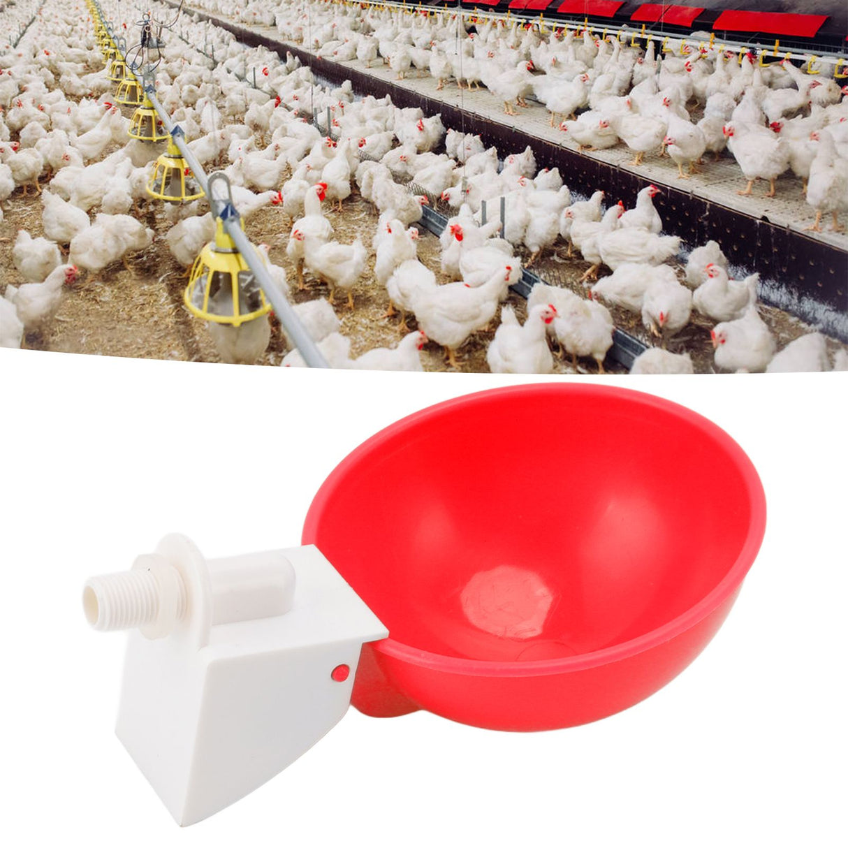 10PCS G1/8 Male Thread Chicken Waterer Cup Thicken Automatic Poultry Water Feeding Equipment for Quails Birds Red