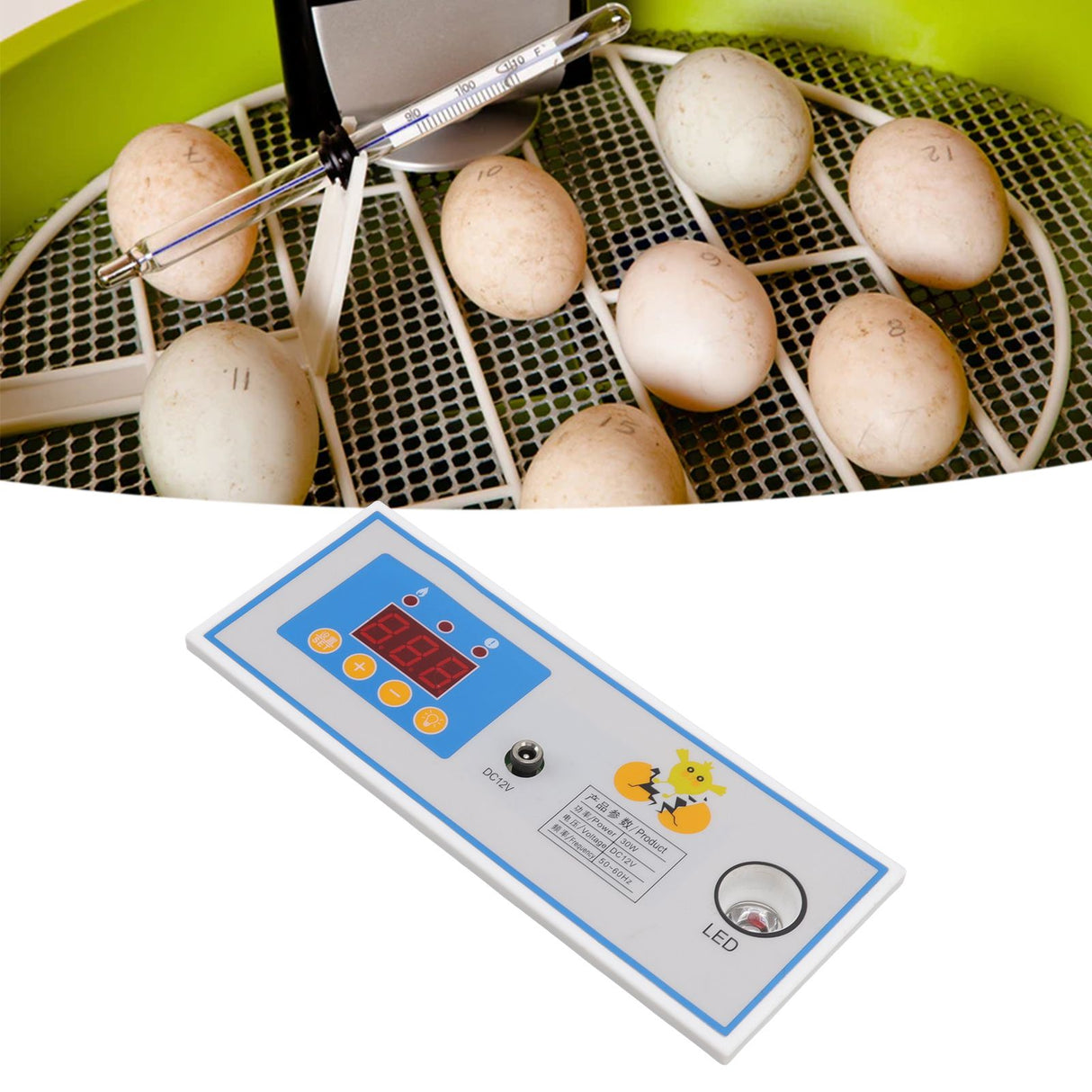 Incubator Temperature Controller Digital Full Automatic Incubator Thermostat for Egg 30W 12V