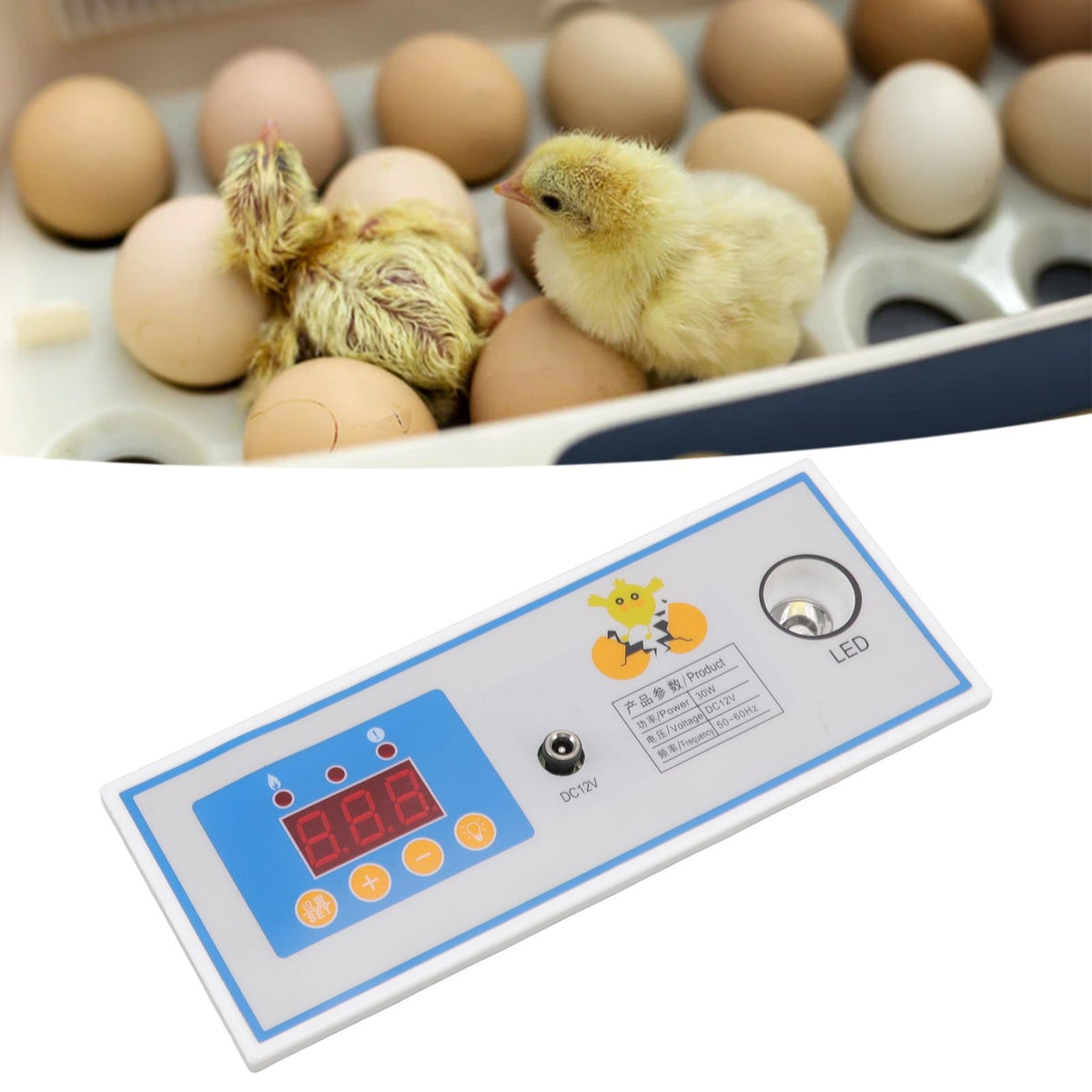 Incubator Temperature Controller Digital Full Automatic Incubator Thermostat for Egg 30W 12V