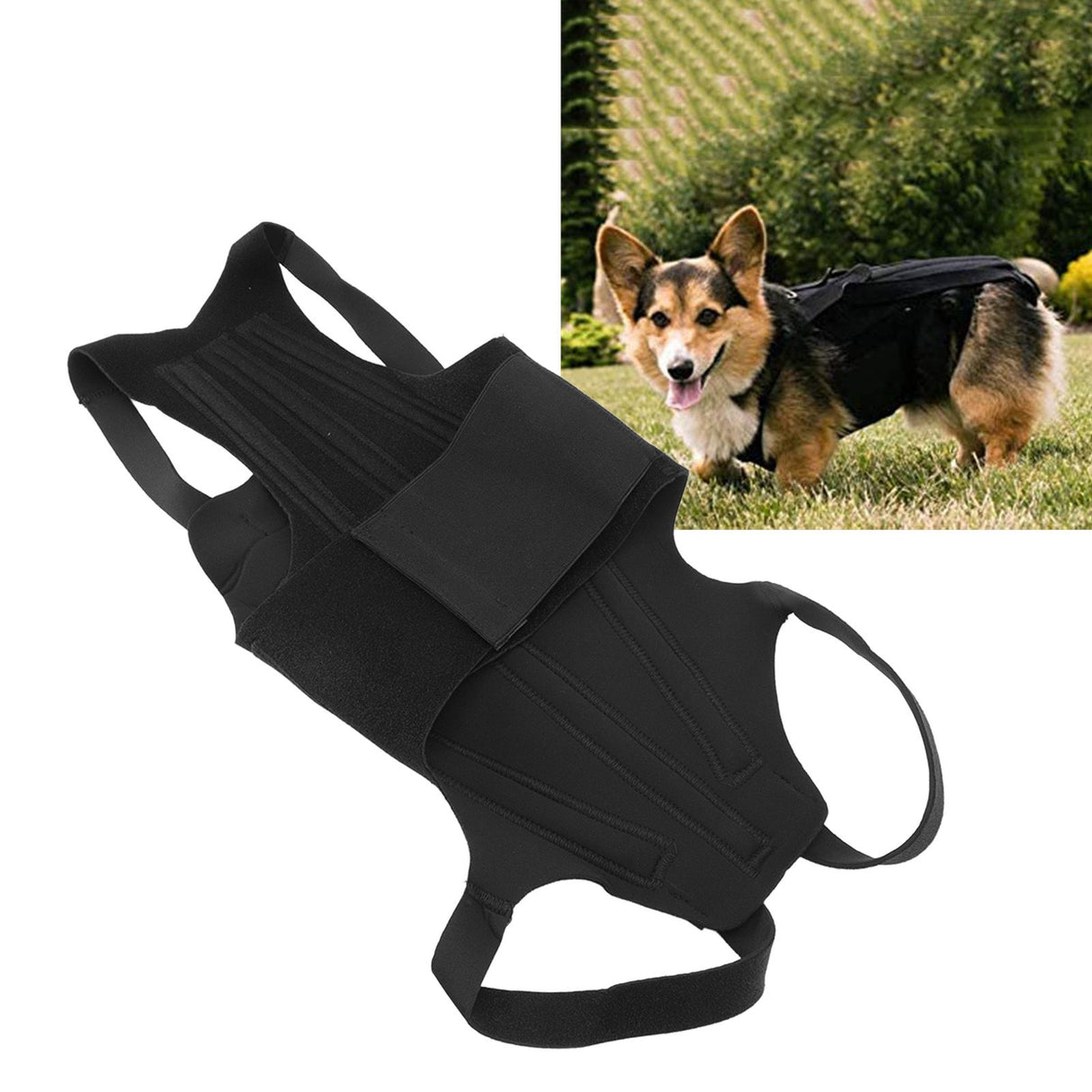 Dog Back Bracer Polyester Strong Rigidity Flexible Back Supporting Vest for Walking L