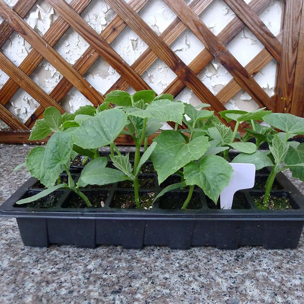 Greenhouse Seedling Tray 24 Cells Seedling Box with Lid Plant Growing Trays for Starter Germination Growth Seed