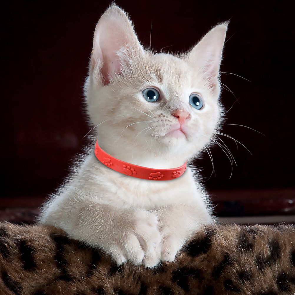 3 Pcs Red Adjustable Pet Cat Anti Flea Mite Tick Collar Cat Flea Prevention Collar Pet Supplies