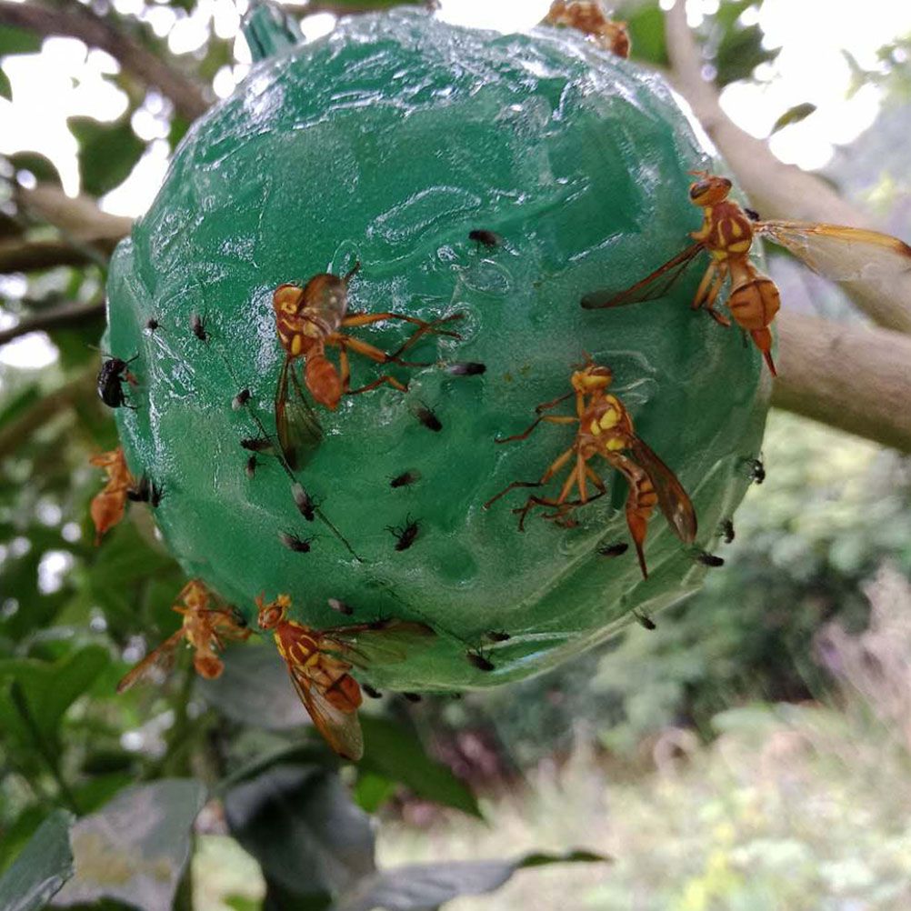 8pcs Hanging Fly Trap Ball Fruit Fly Catcher Sticky Trap Outdoor Pest Catcher for Garden Plants