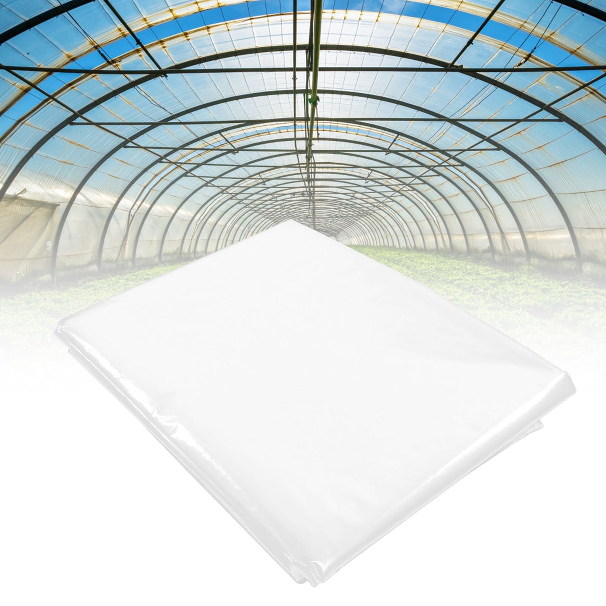 PE Plastic Film Transparent Dustproof Garden Plant Cover Greenhouse Agricultural Accessory2x8m / 6.6x26.2ft