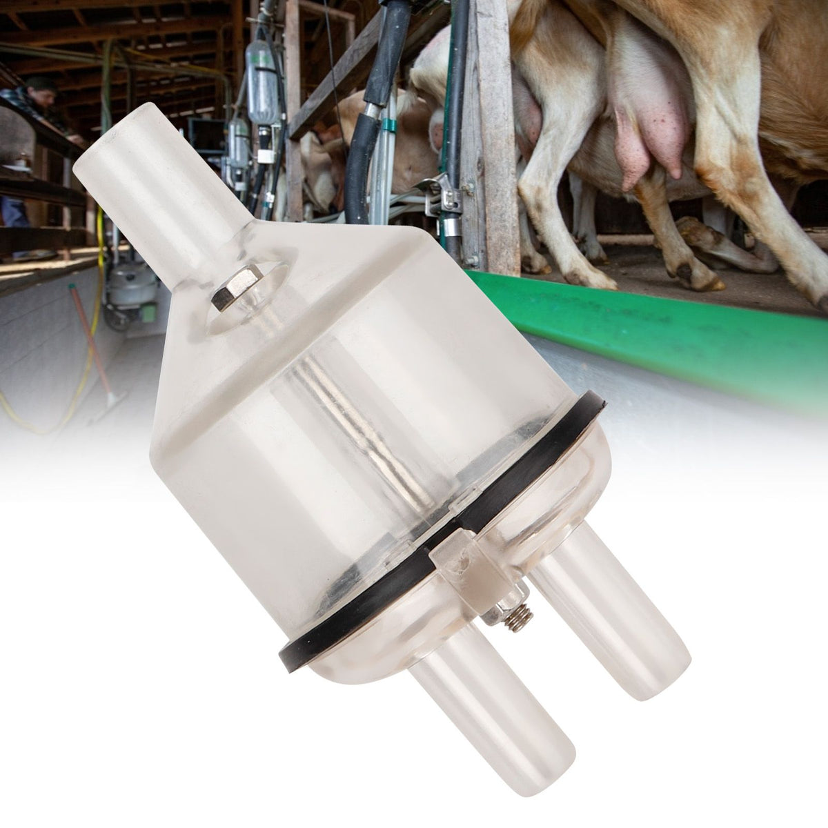 30ml Goat Milking Claw Collector Transparent Sheep Milking Machine Accessory Livestock Supply
