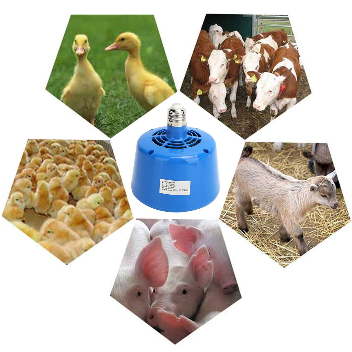 Piglet Heat Lamp 220V 100-300W Chicken Pet Heating Bulb Livestock Accessory Blue