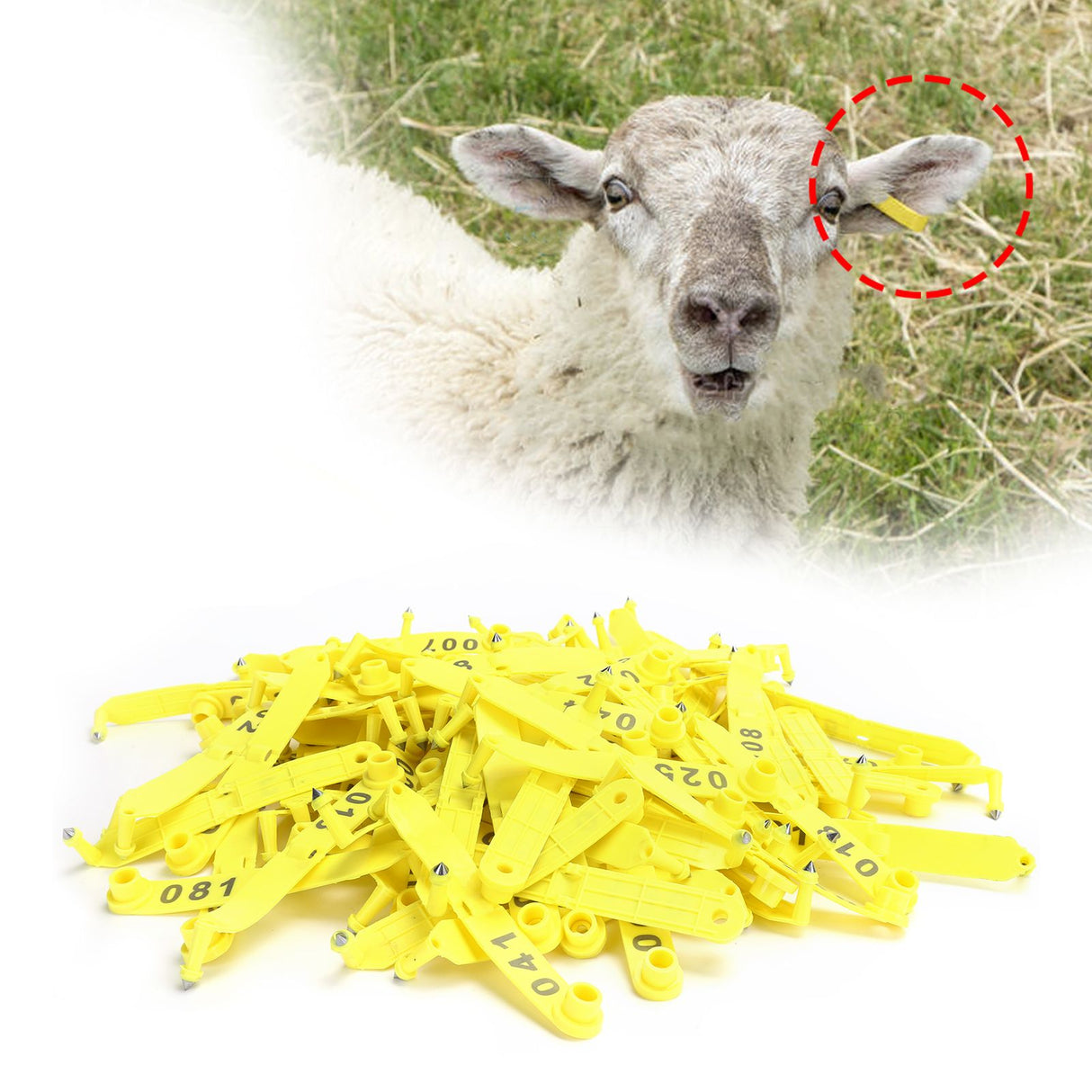 100Pcs Sheep Ear Tag Double Folded Yellow Integrated Number Animal Identification Card