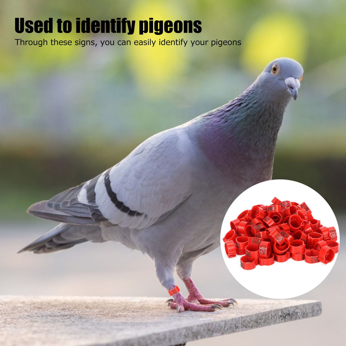 100Pcs Pigeons Identify Ring 001‑100 Numbered Poultry Leg Ring Bird Leg Bands Foot Ring10mm Red Ring with Number