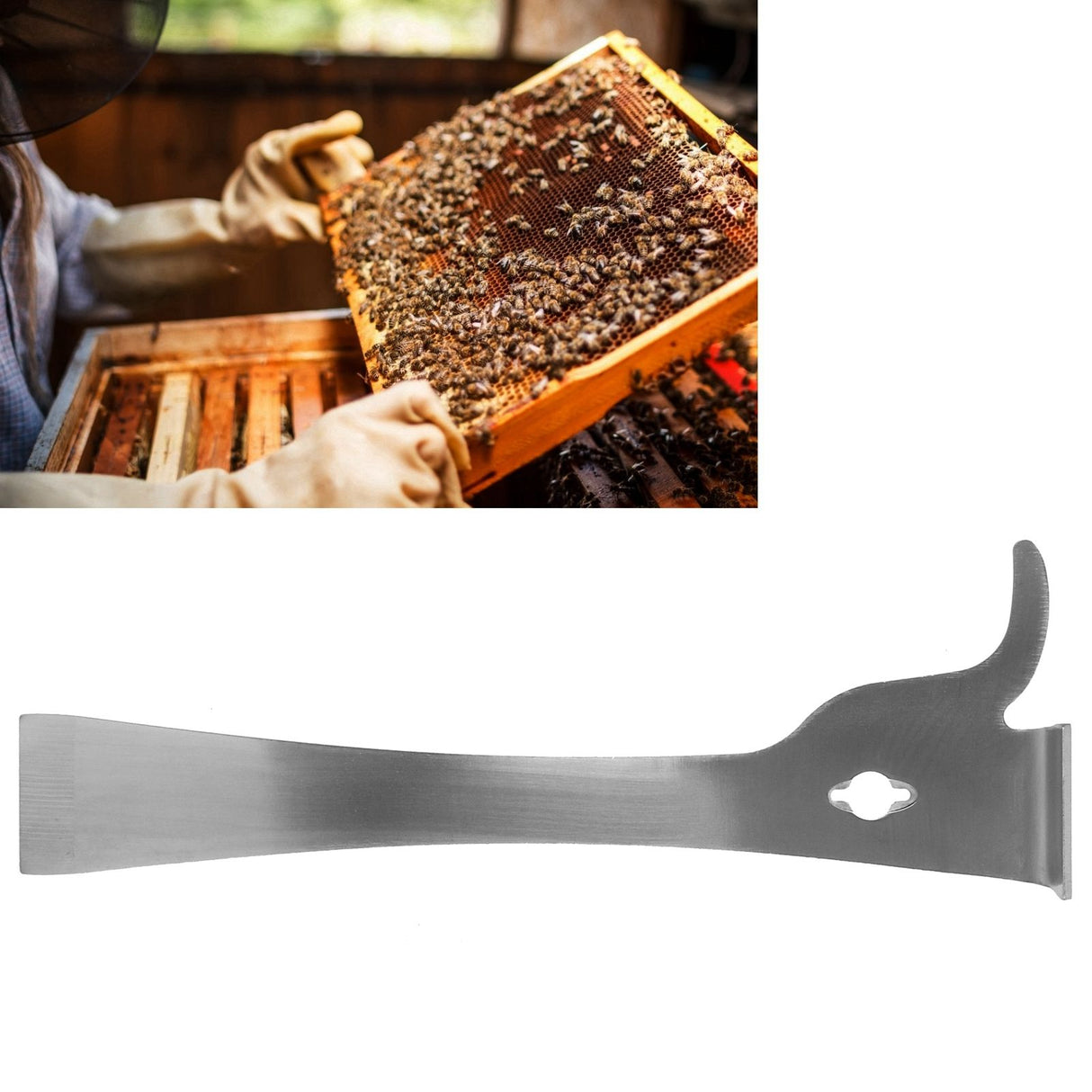 Stainless Steel Beehive Frame Cleaner Honey Scraper Knife Beekeeping Apiculture Tool