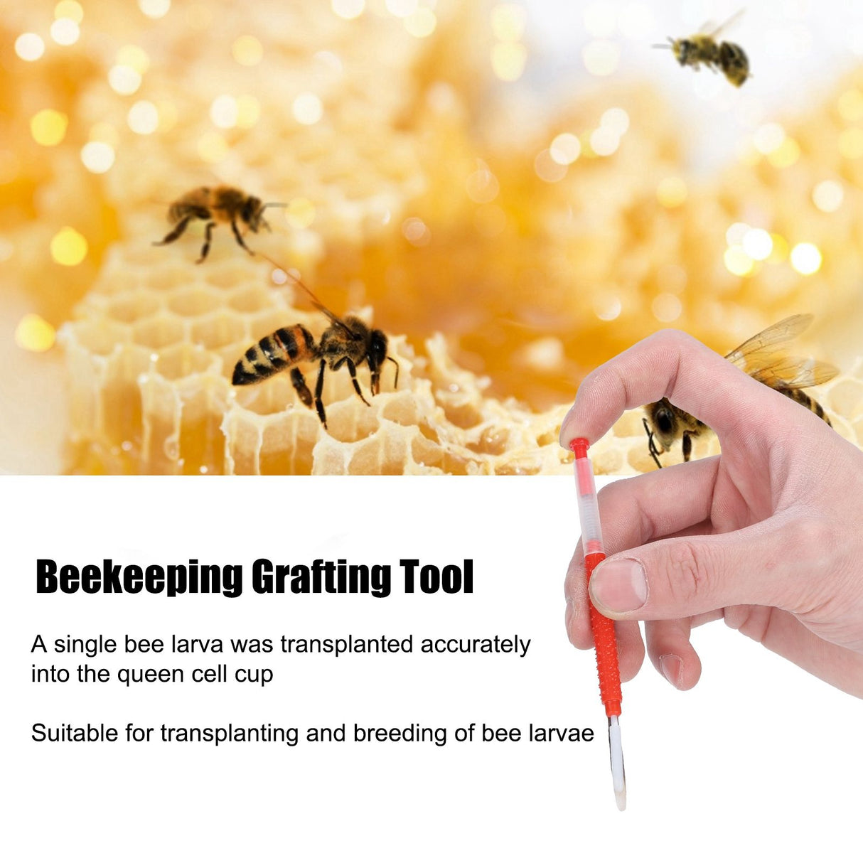 10Pcs Beekeeping Grafting Needles Bee Queen Larvae Rearing Equipment for Apiculture