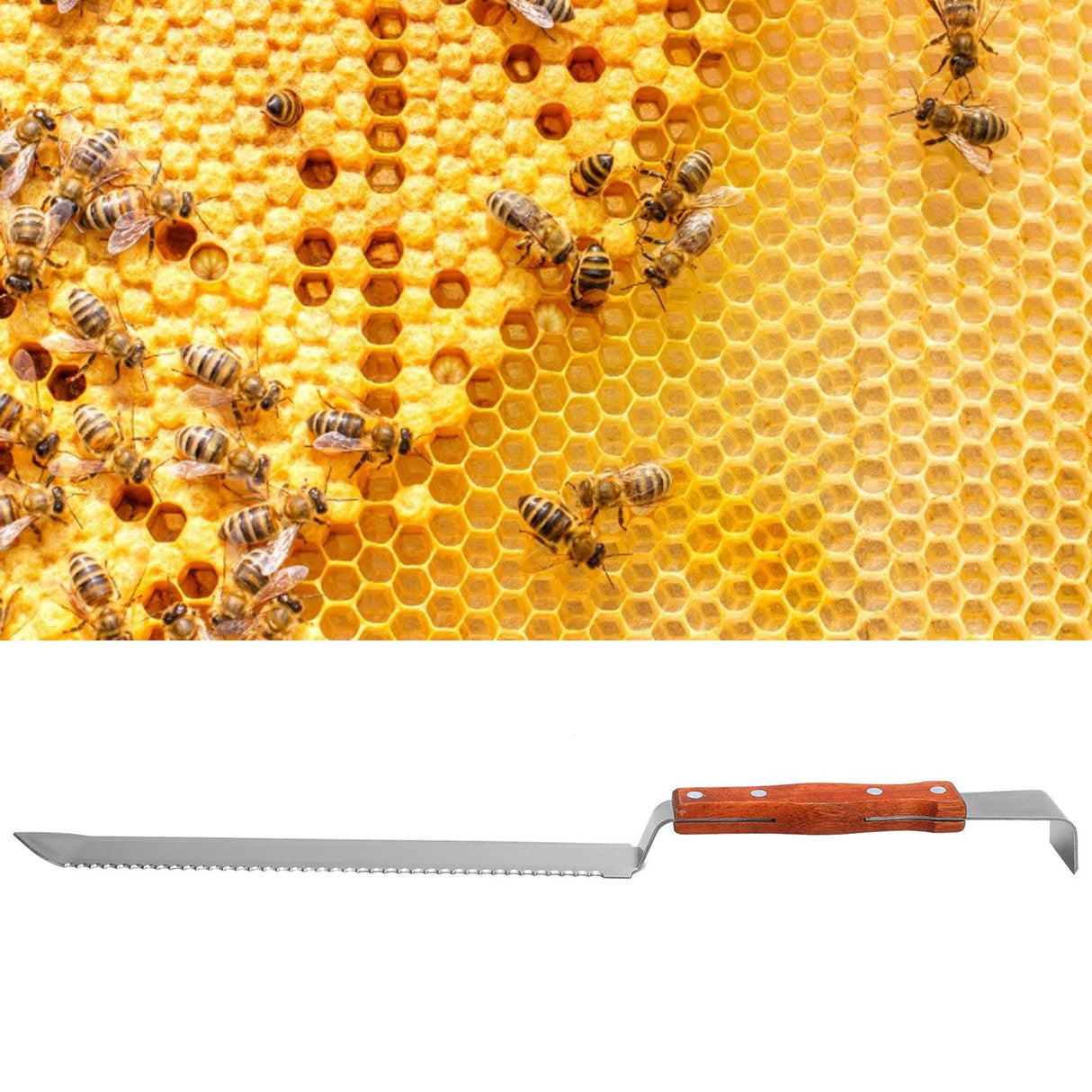 Multifunctional Stainless Steel Honey Cutter Knife Scraper Beekeeping Tool with Wood Handle