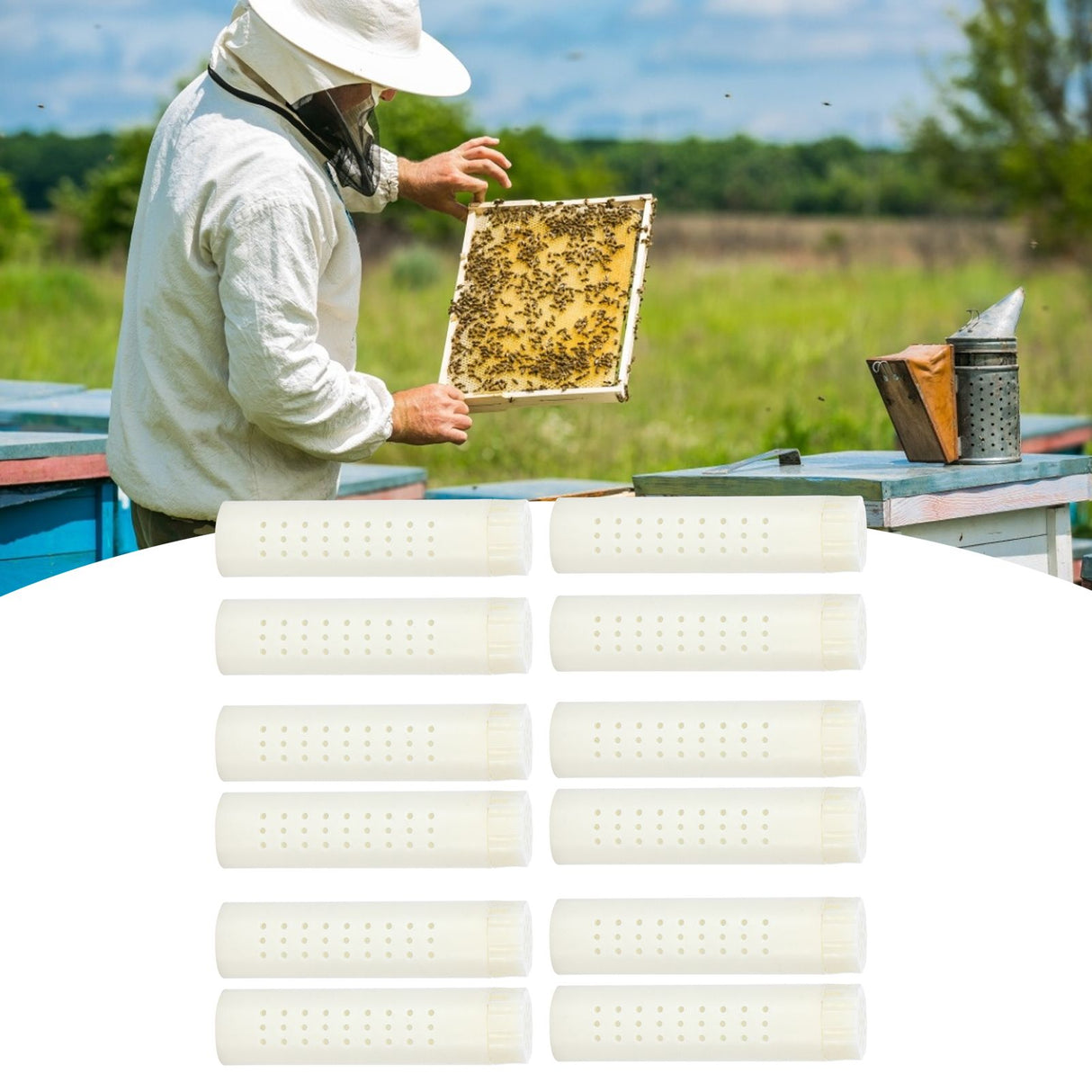 12PCS Queen Bee Cages Plastic Protective Cover Rearing Cup Beekeeper Beekeeping Supplies