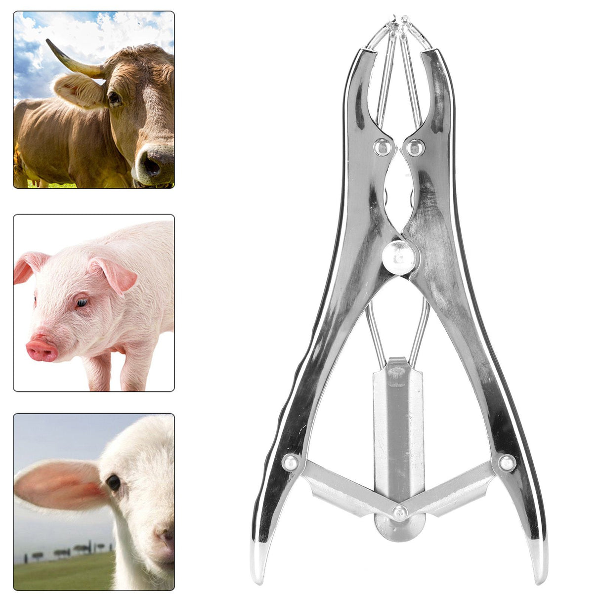 Castration Pliers Aluminium Alloy Bloodless Elastic Tail Docking Clamp for Farm Animal Supplies