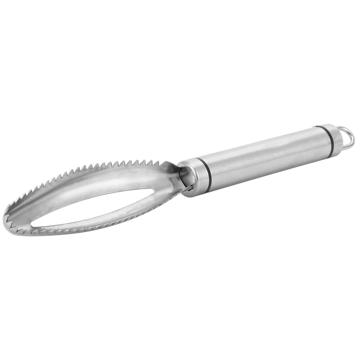 Fish Scaler Stainless Steel Fish Scraper Fish Scale Remover Scraping Removing Tool Kitchen Tool