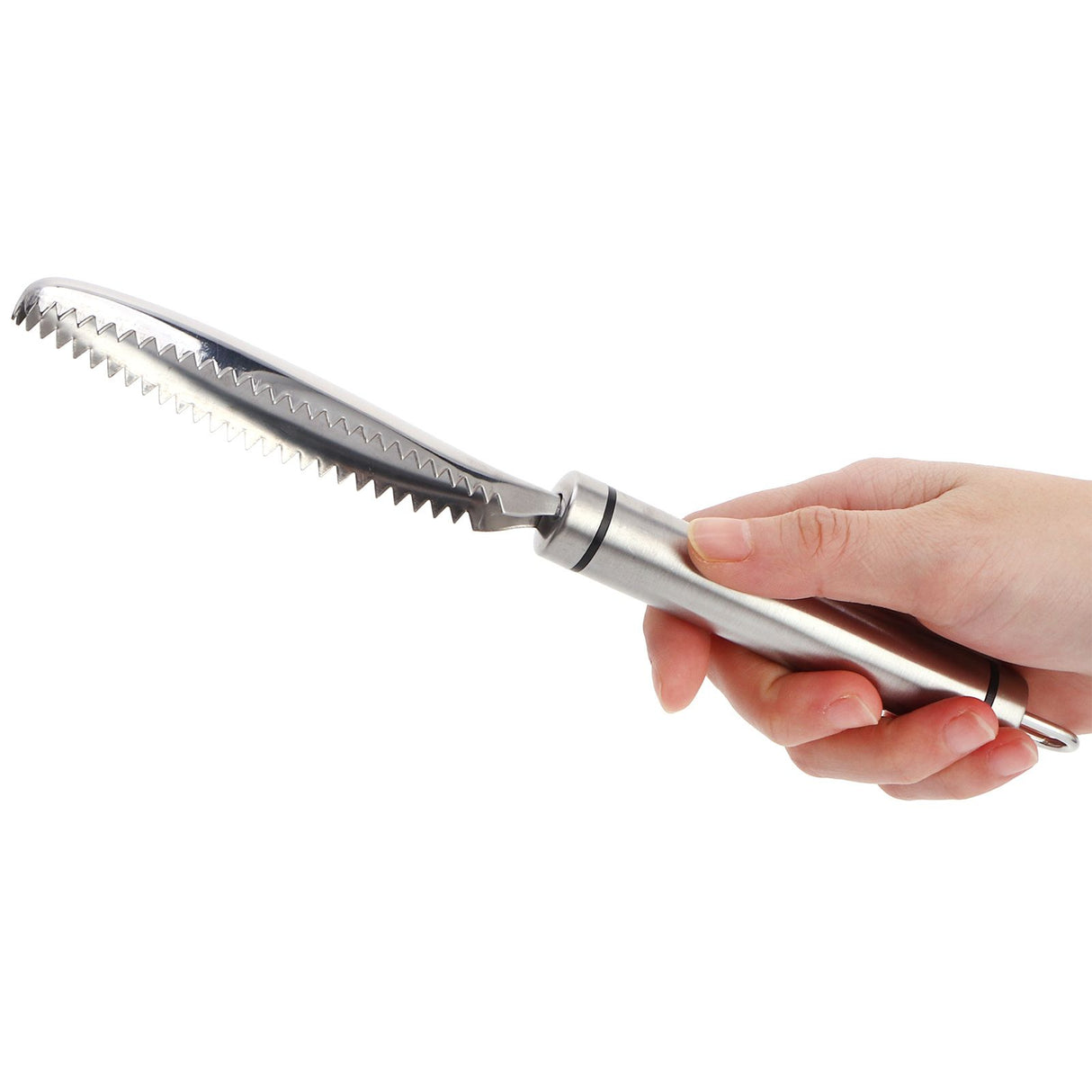 Fish Scaler Stainless Steel Fish Scraper Fish Scale Remover Scraping Removing Tool Kitchen Tool
